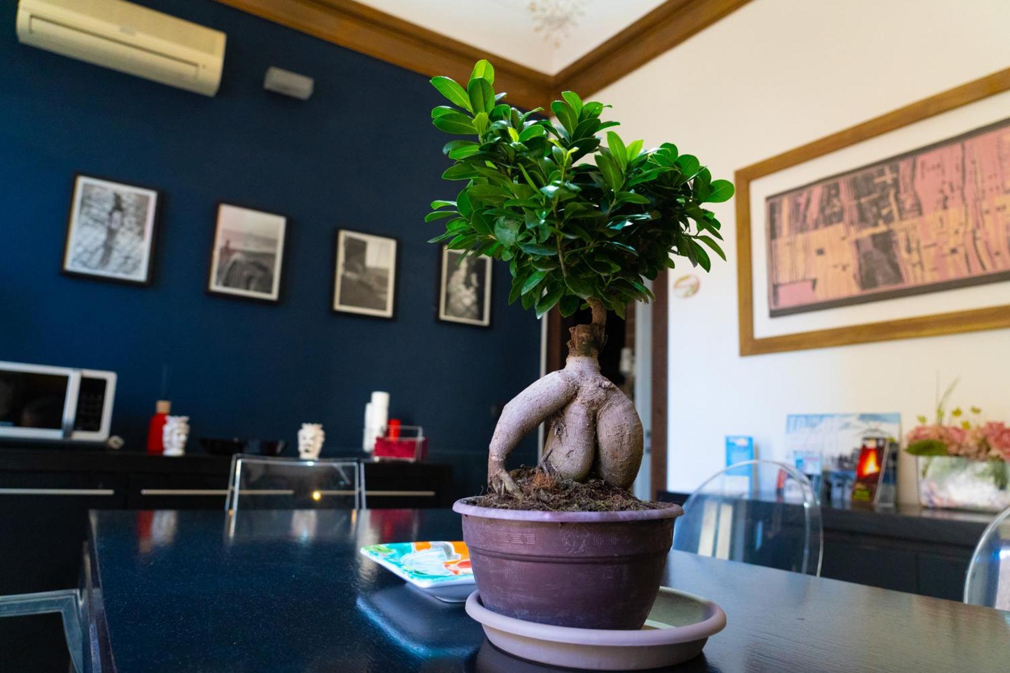 B&B Opera Catania Ngoại thất bức ảnh
